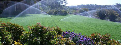 Calvert MD Landscaping